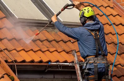 Démoussage et hydrofuge de toiture à Toussieu